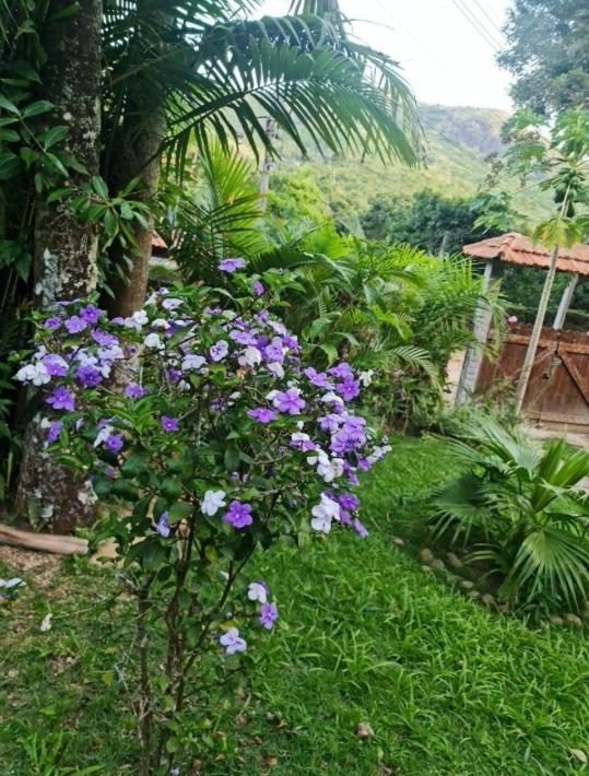 Sitio Borges Villa Petrópolis Kültér fotó